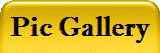 Pic Gallery